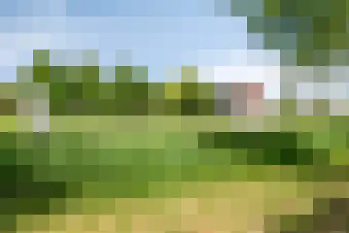 Paulus Potterstraat 109 Almere thumbnail 39