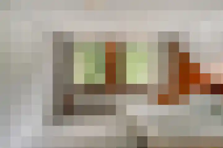 Paulus Potterstraat 11 Bergen L thumbnail 32