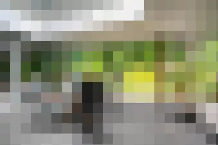 Paulus Potterstraat 11 Bergen L thumbnail 39