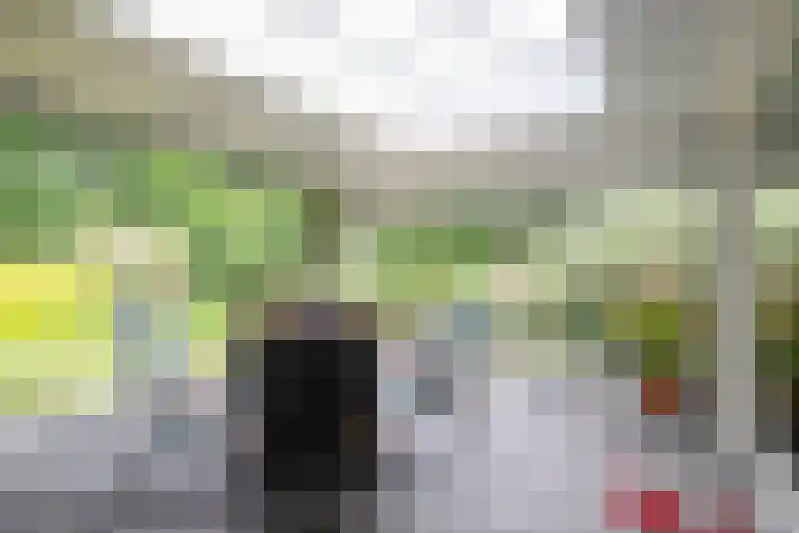 Paulus Potterstraat 11 Bergen L thumbnail 40