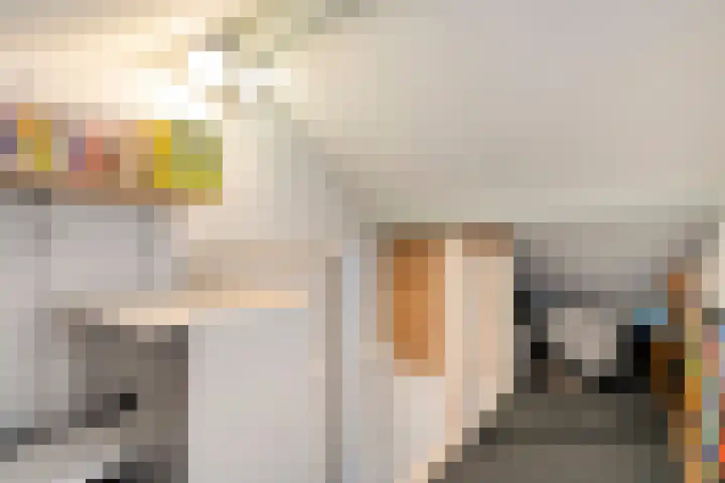Paulus Potterstraat 11 Hardenberg thumbnail 30