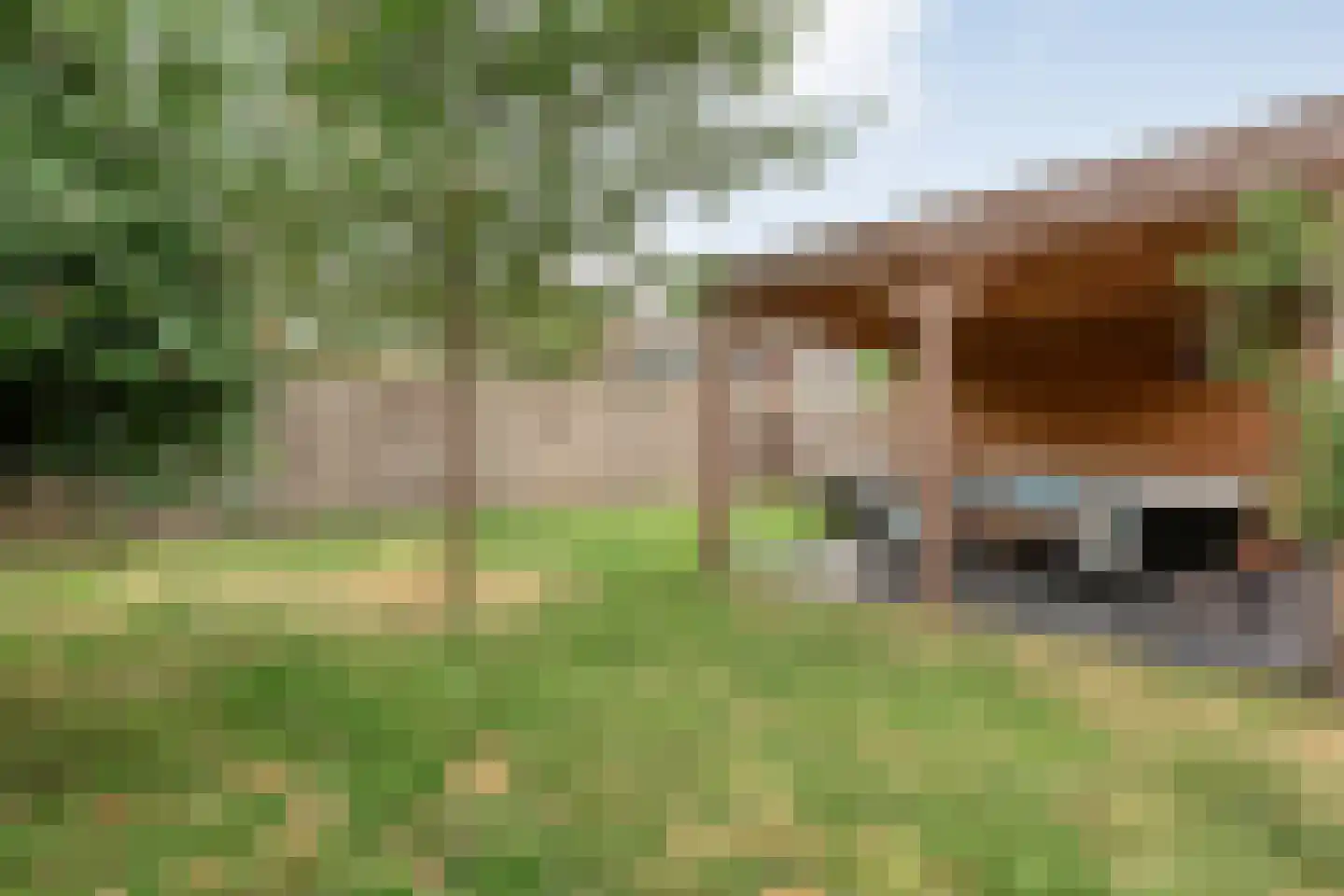 Paulus Potterstraat 11 Hardenberg thumbnail 36