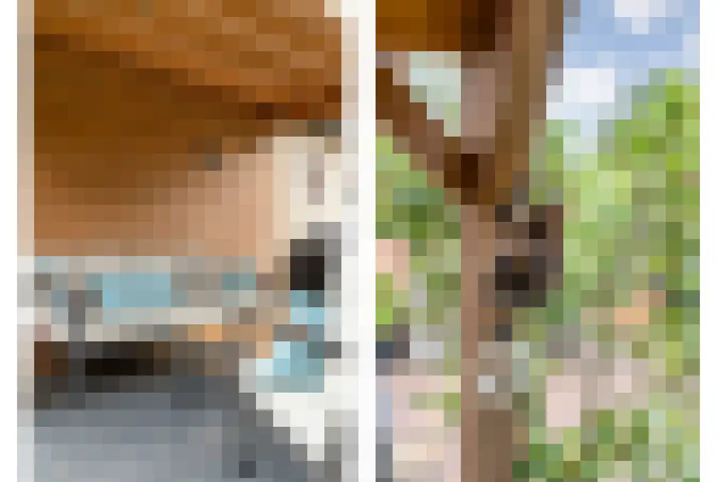 Paulus Potterstraat 11 Hardenberg thumbnail 38