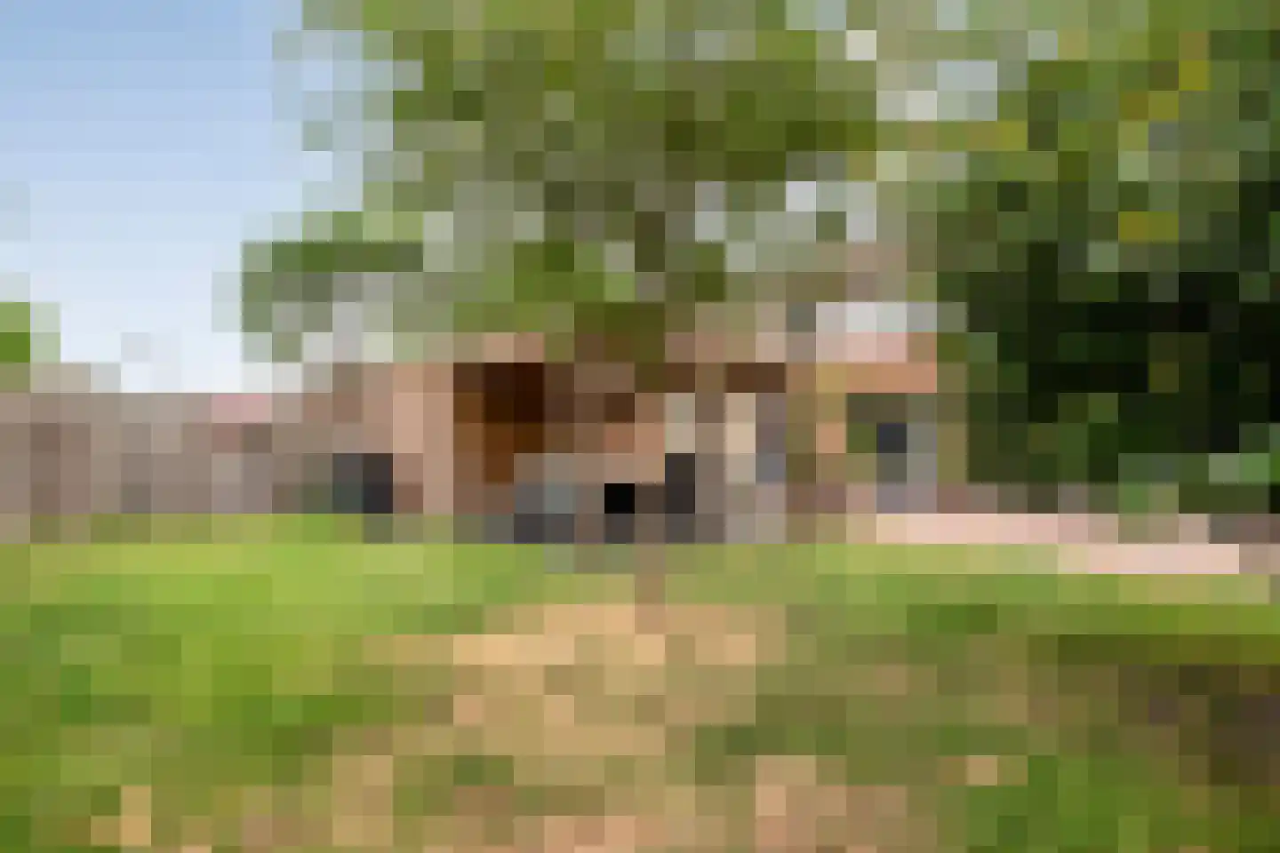 Paulus Potterstraat 11 Hardenberg thumbnail 39