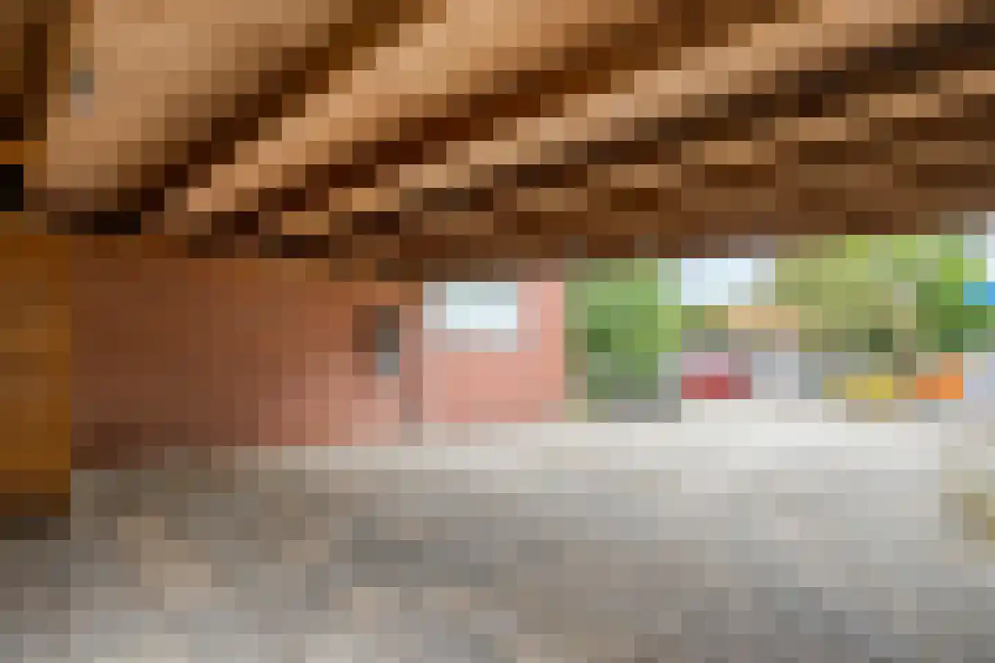 Paulus Potterstraat 11 Hardenberg thumbnail 41