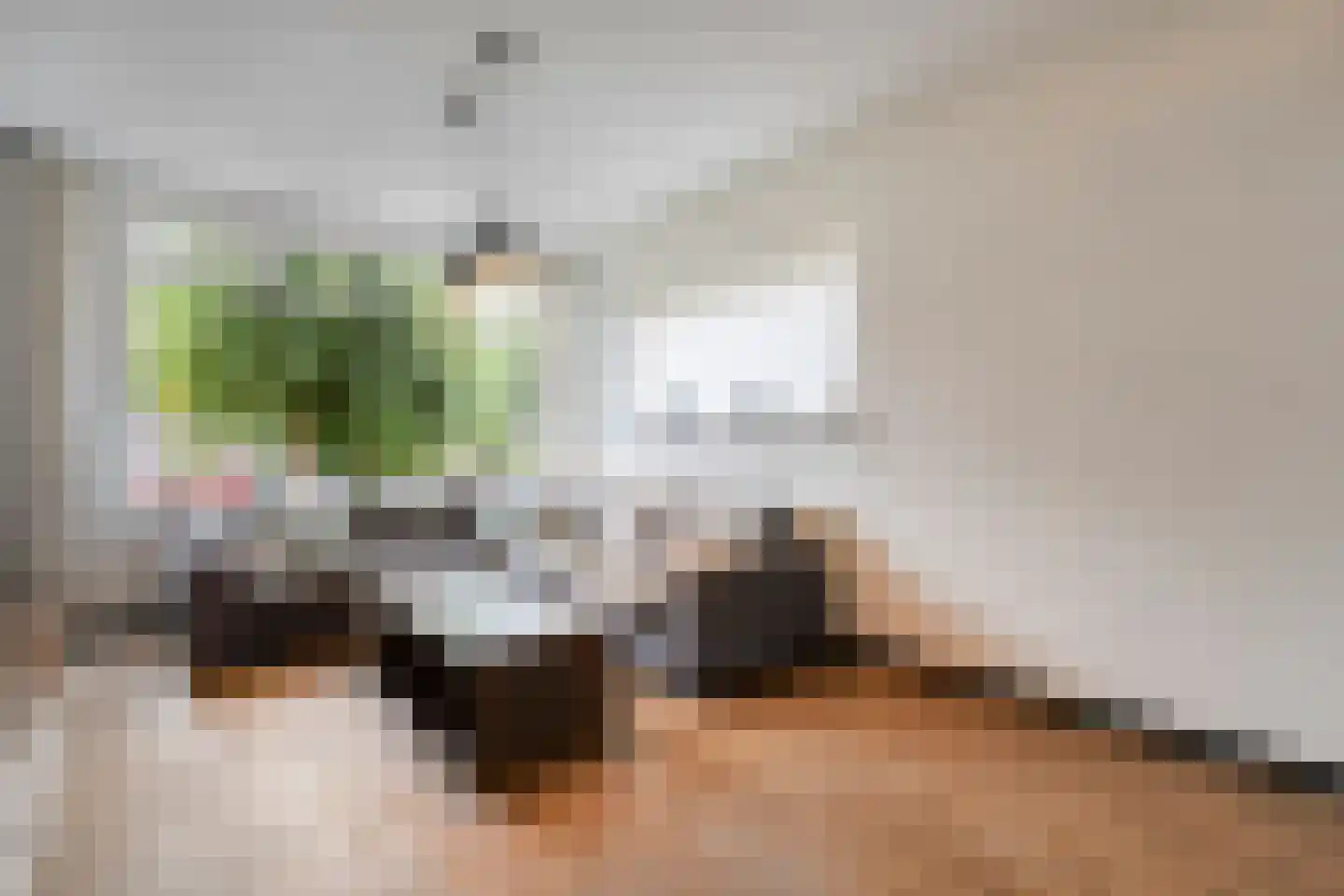 Paulus Potterstraat 11 Hardenberg thumbnail 7
