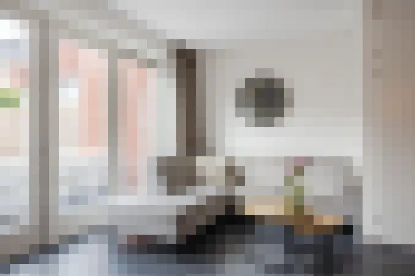 Paulus Potterstraat 11 Raamsdonksveer thumbnail 12