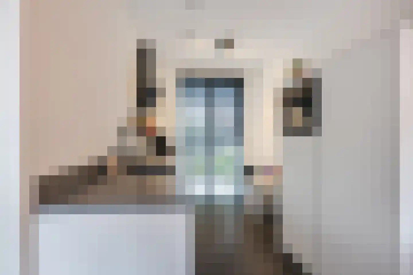 Paulus Potterstraat 11 Raamsdonksveer thumbnail 17