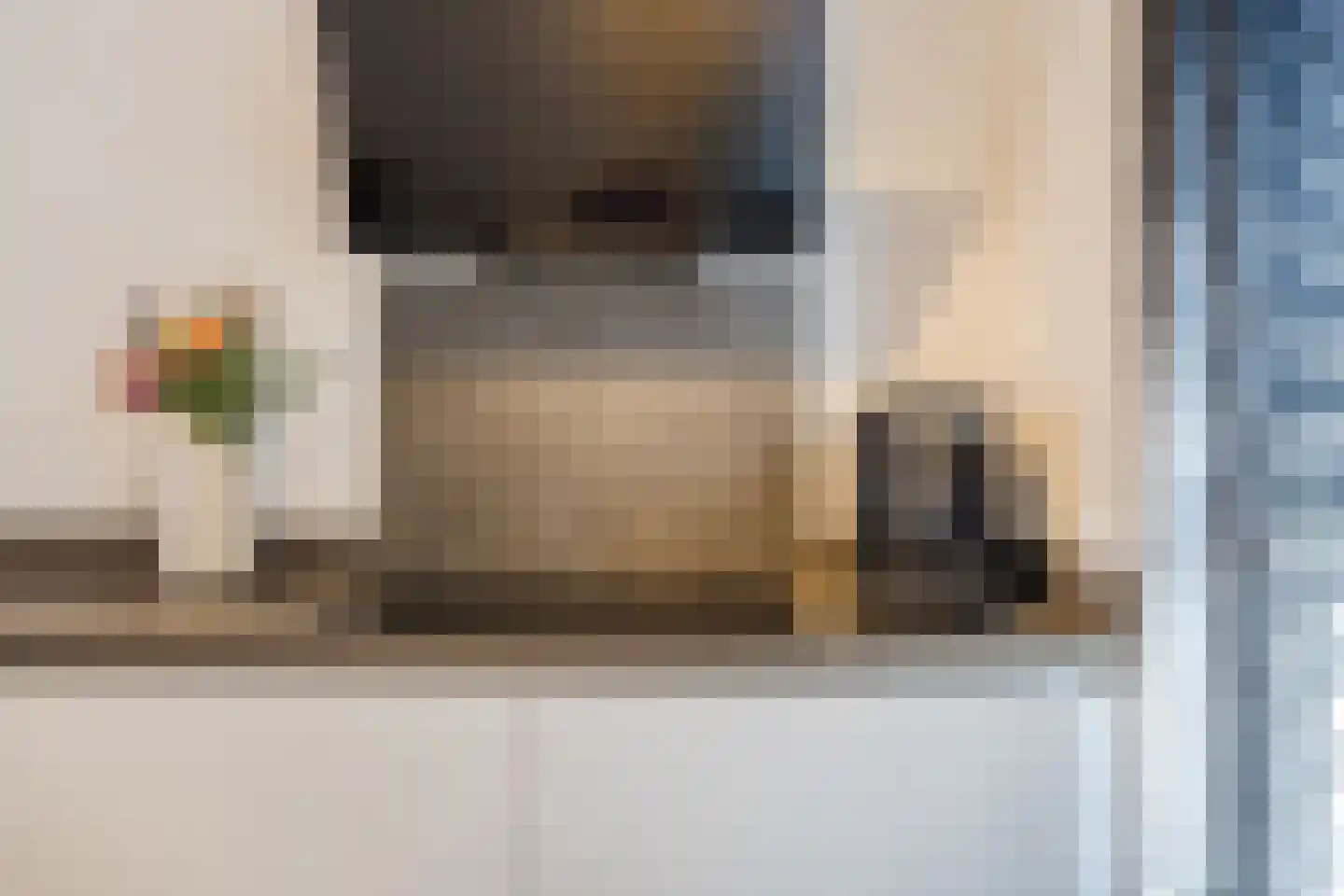 Paulus Potterstraat 11 Raamsdonksveer thumbnail 20