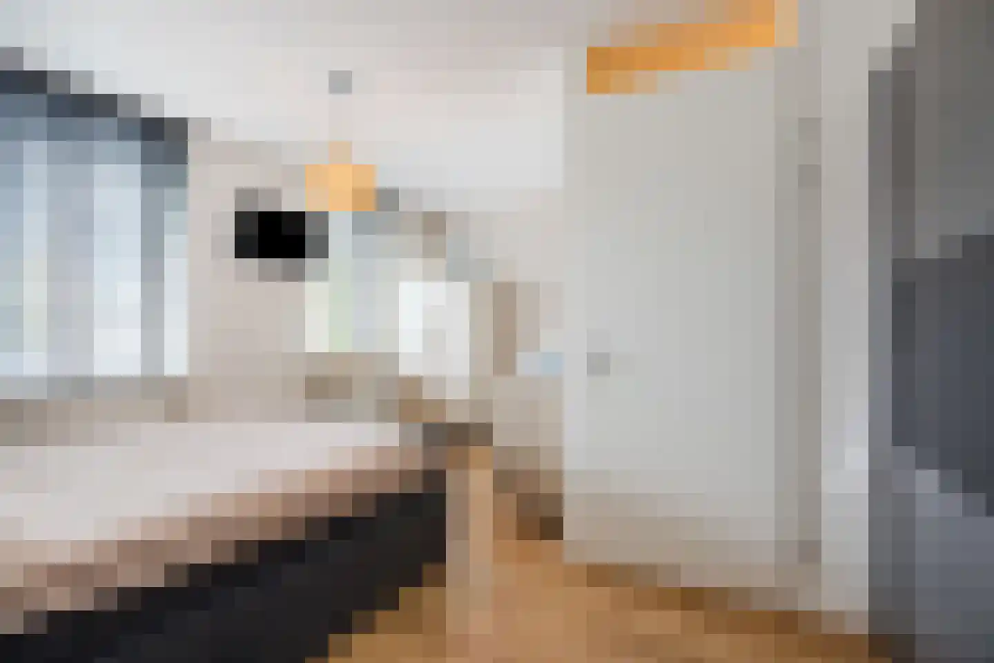 Paulus Potterstraat 11 Raamsdonksveer thumbnail 22