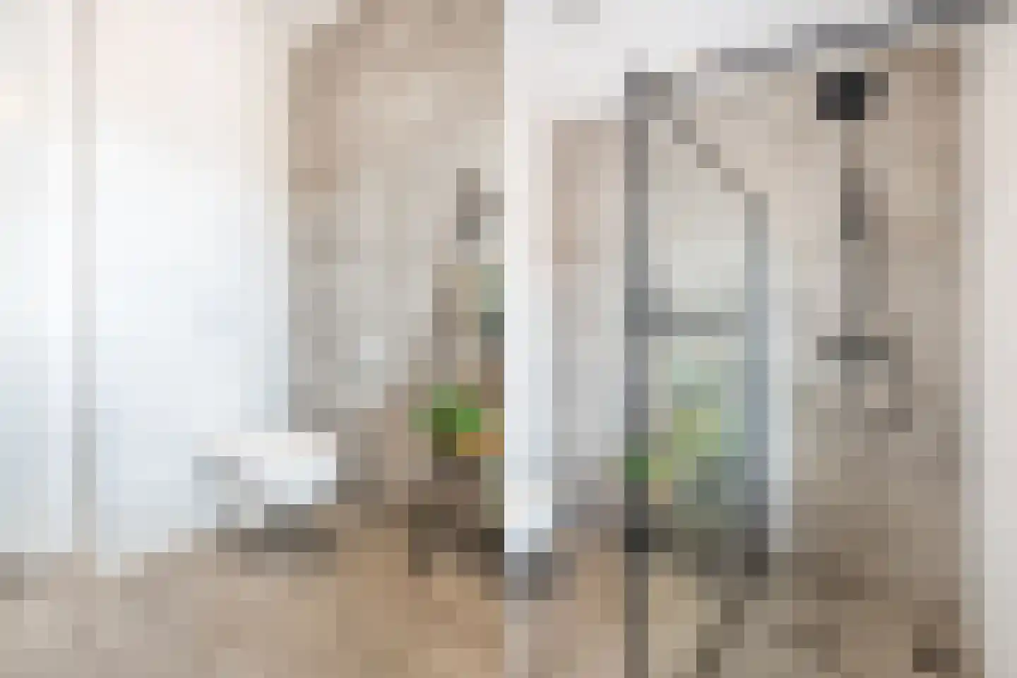 Paulus Potterstraat 11 Raamsdonksveer thumbnail 31
