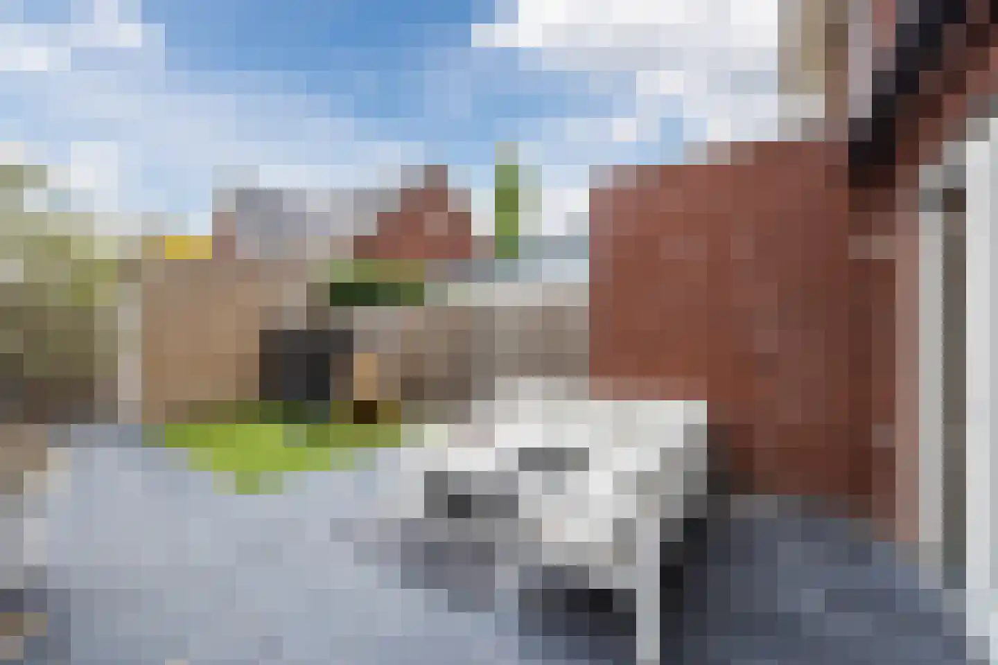 Paulus Potterstraat 11 Raamsdonksveer thumbnail 38