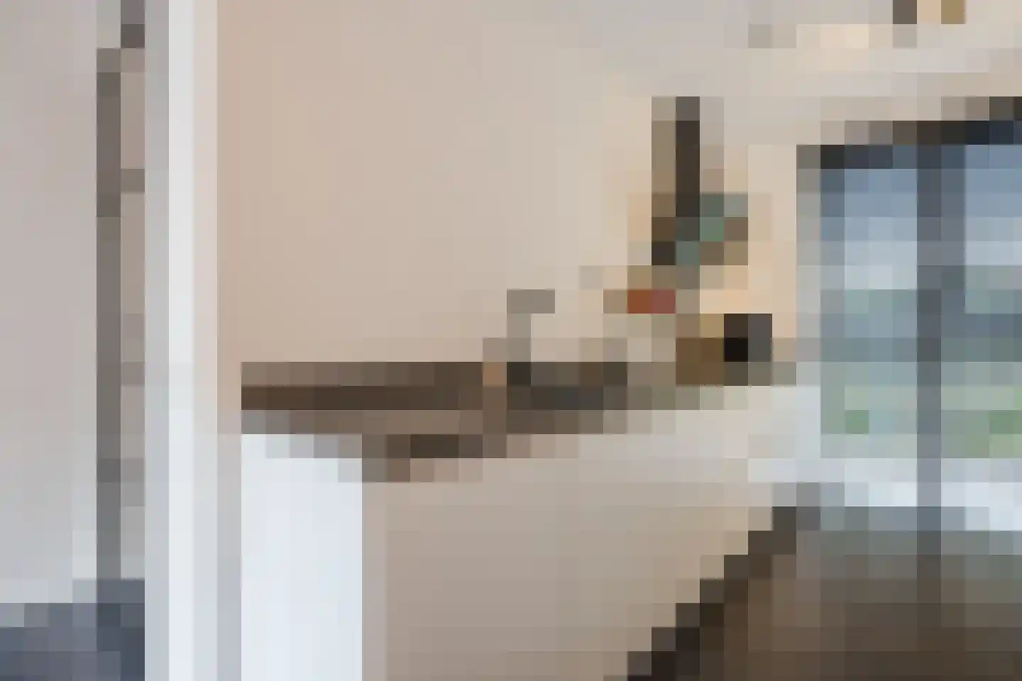 Paulus Potterstraat 11 Raamsdonksveer thumbnail 5