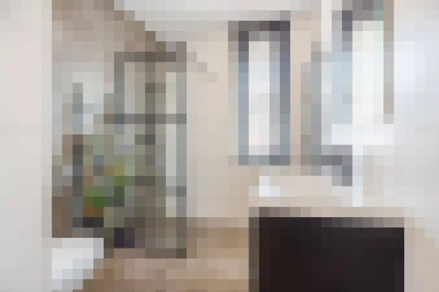 Paulus Potterstraat 11 Raamsdonksveer thumbnail 6