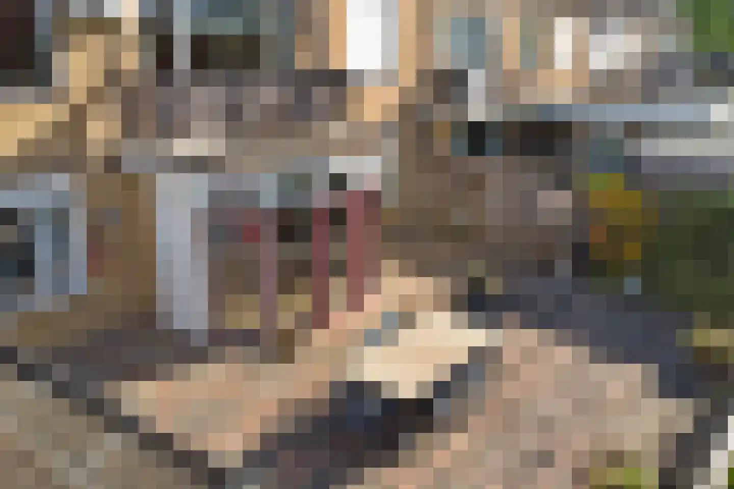 Paulus Potterstraat 13 Enschede thumbnail 32