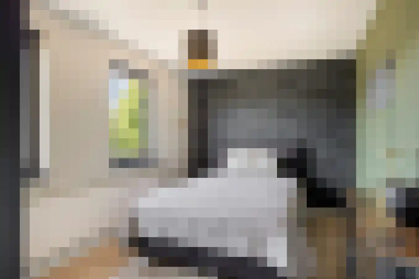 Paulus Potterstraat 14 Vinkel thumbnail 15