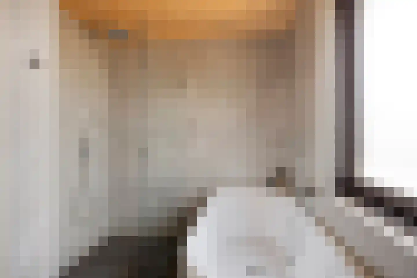 Paulus Potterstraat 14 Vinkel thumbnail 18