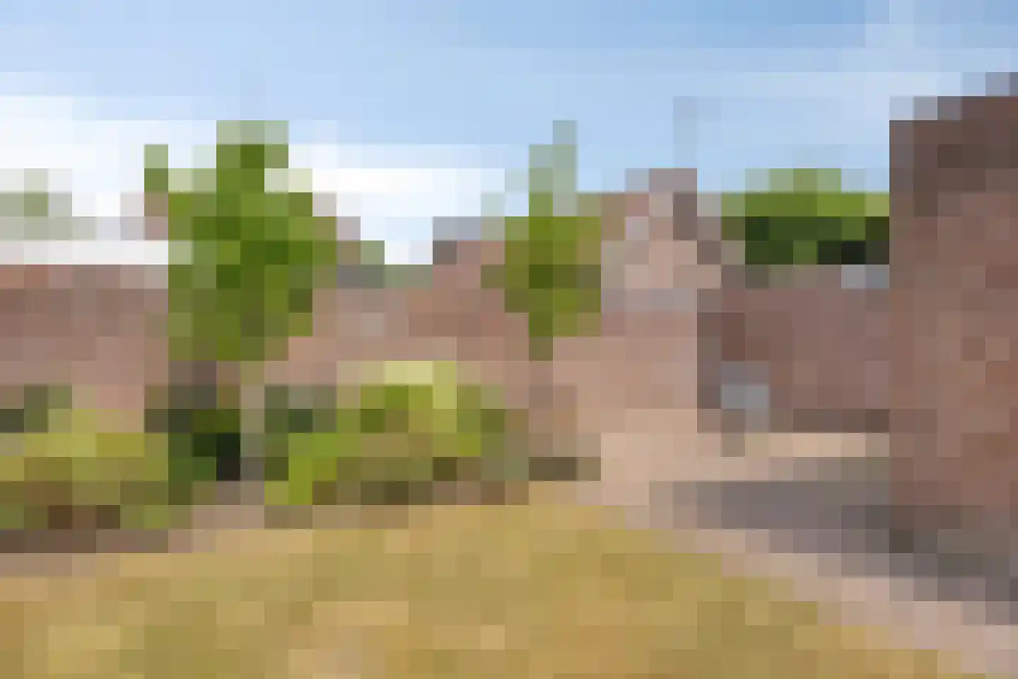 Paulus Potterstraat 14 Vinkel thumbnail 28