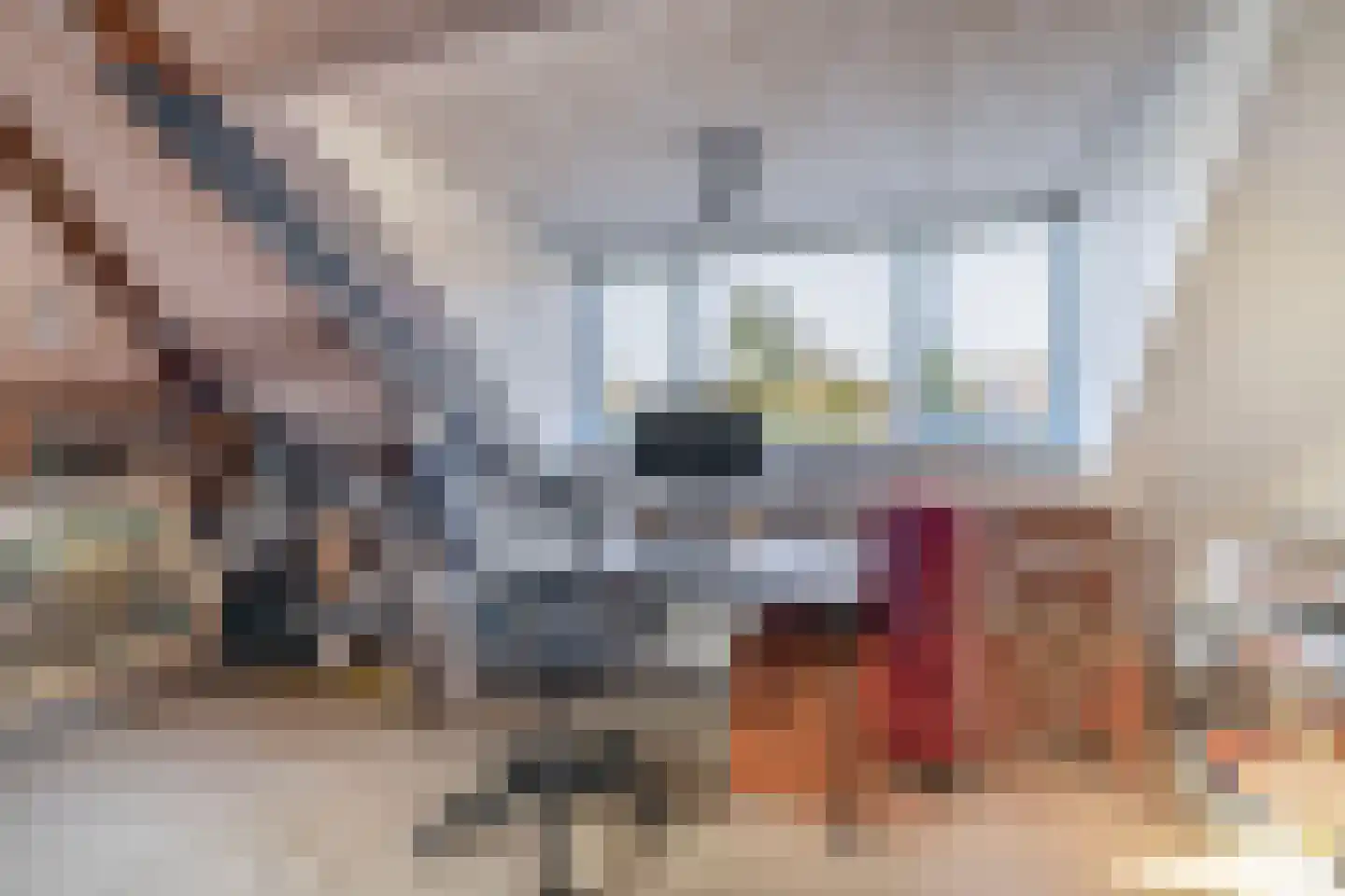 Paulus Potterstraat 15 Arnhem thumbnail 23