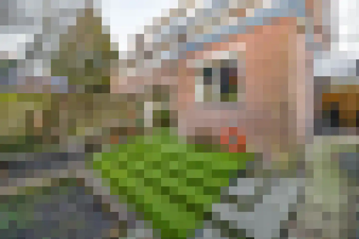 Paulus Potterstraat 15 Arnhem thumbnail 28