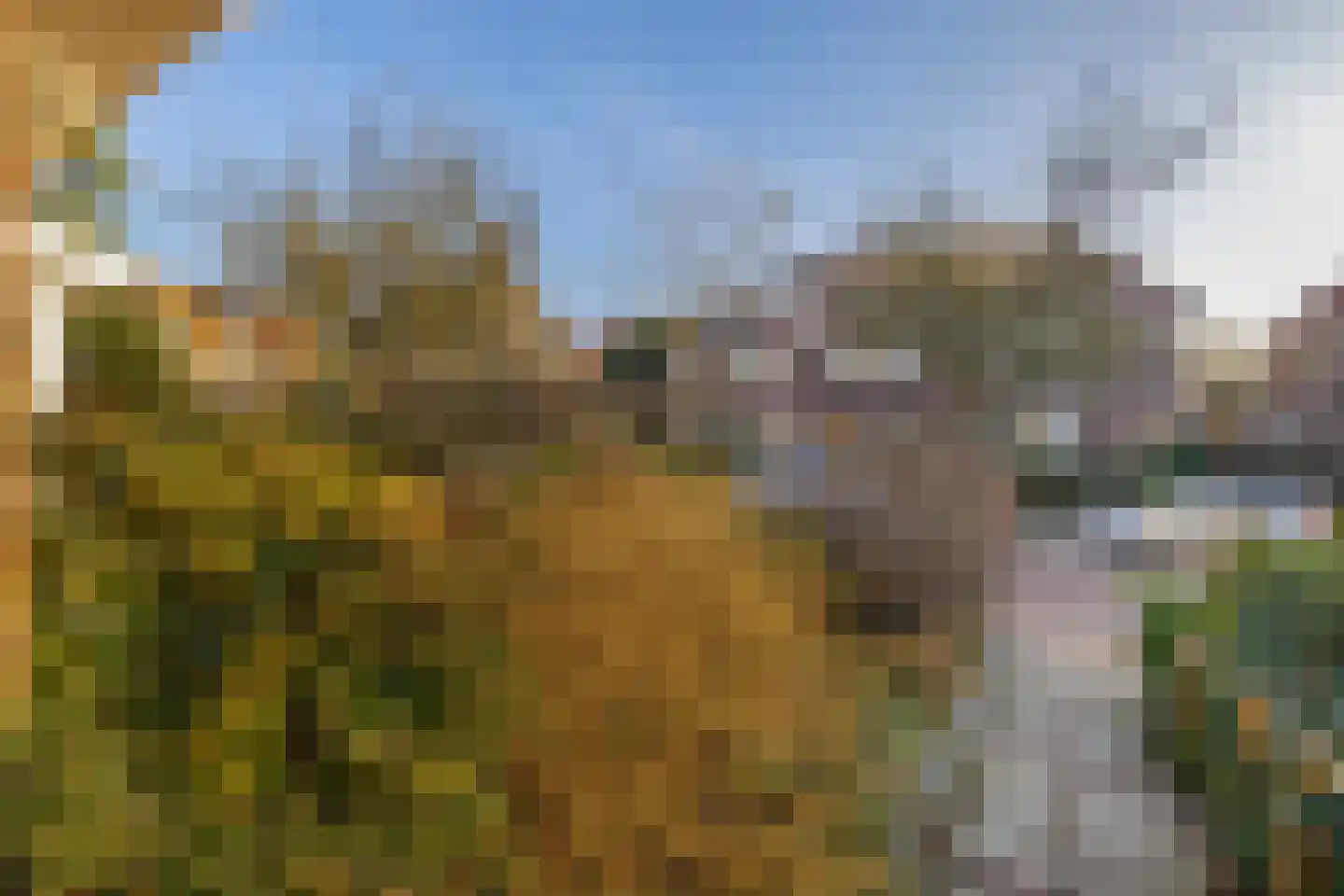 Paulus Potterstraat 15 Arnhem thumbnail 31