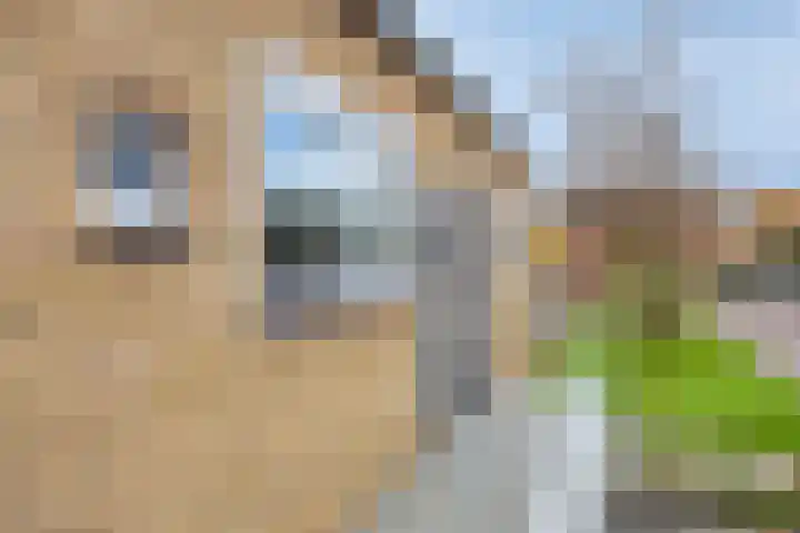 Paulus Potterstraat 15 Enschede thumbnail 33