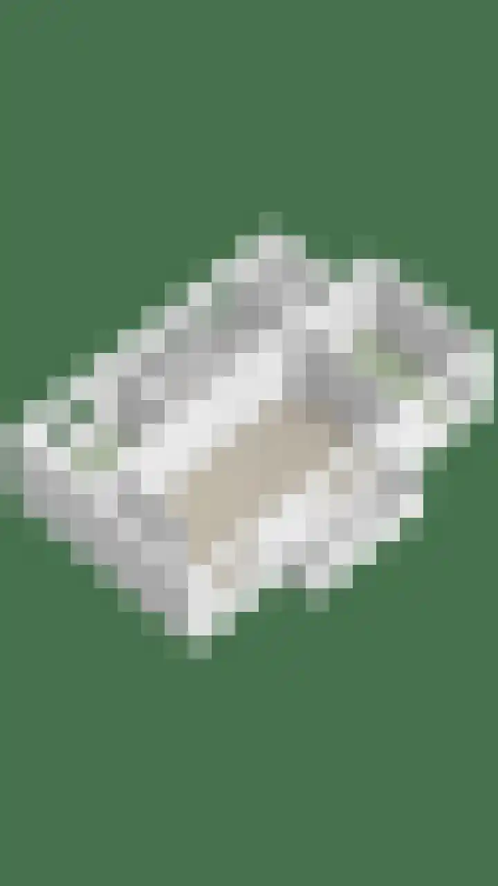 Paulus Potterstraat 15 Enschede thumbnail 45