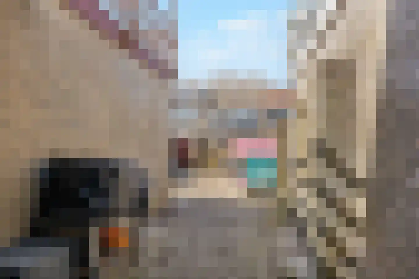 Paulus Potterstraat 15 Heerhugowaard thumbnail 31