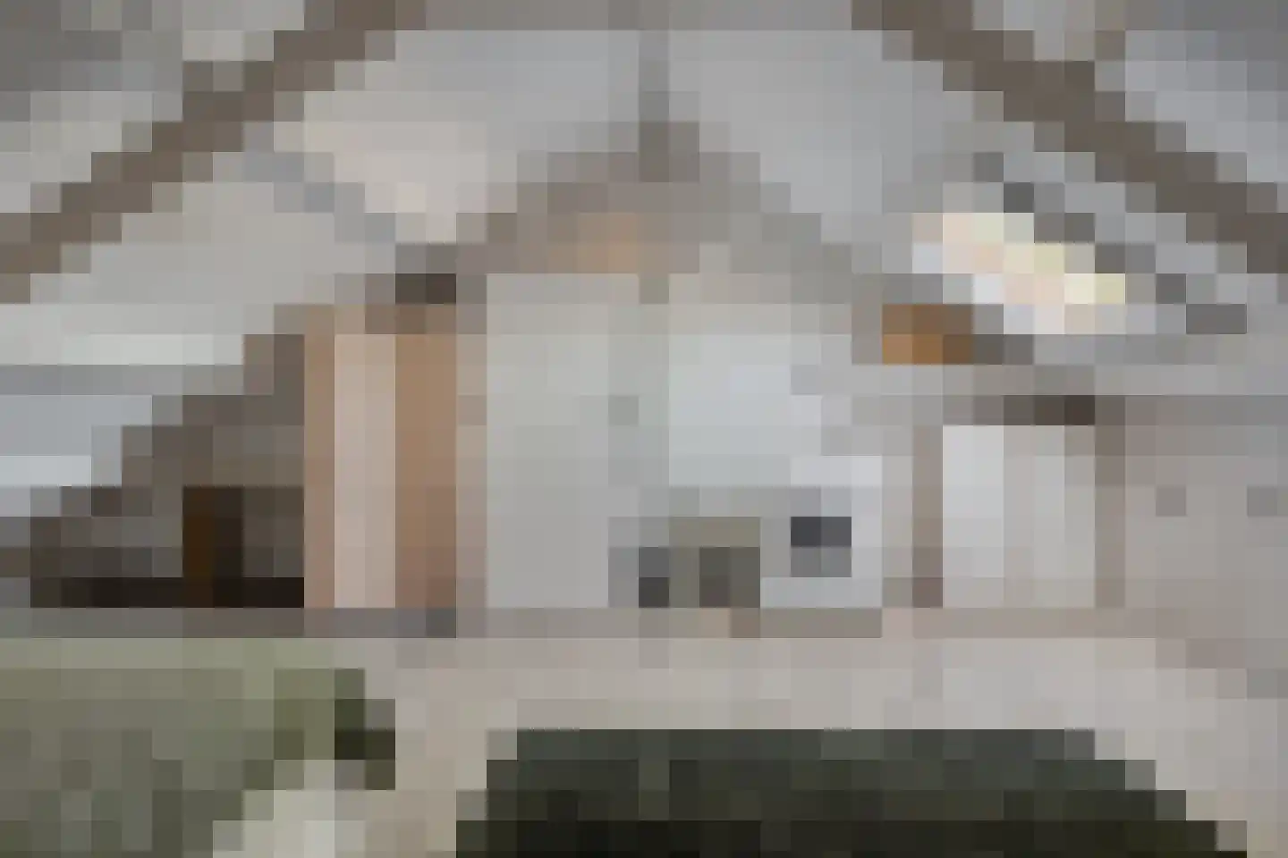 Paulus Potterstraat 16 Haaksbergen thumbnail 32