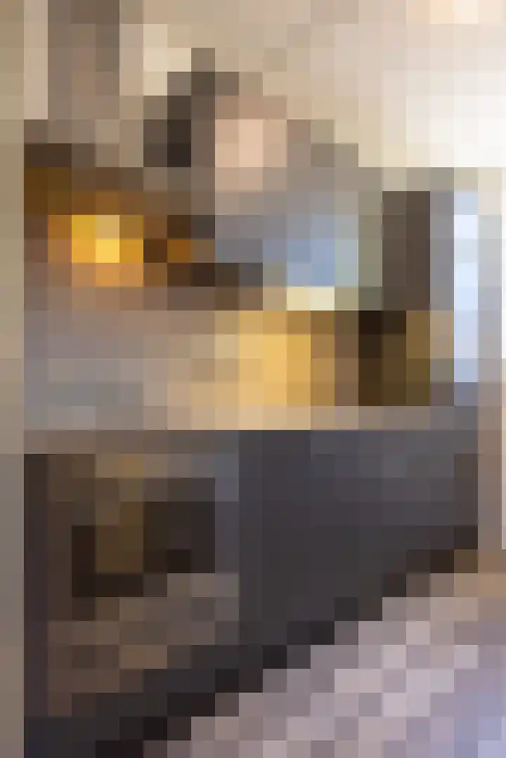 Paulus Potterstraat 16 Sittard thumbnail 16