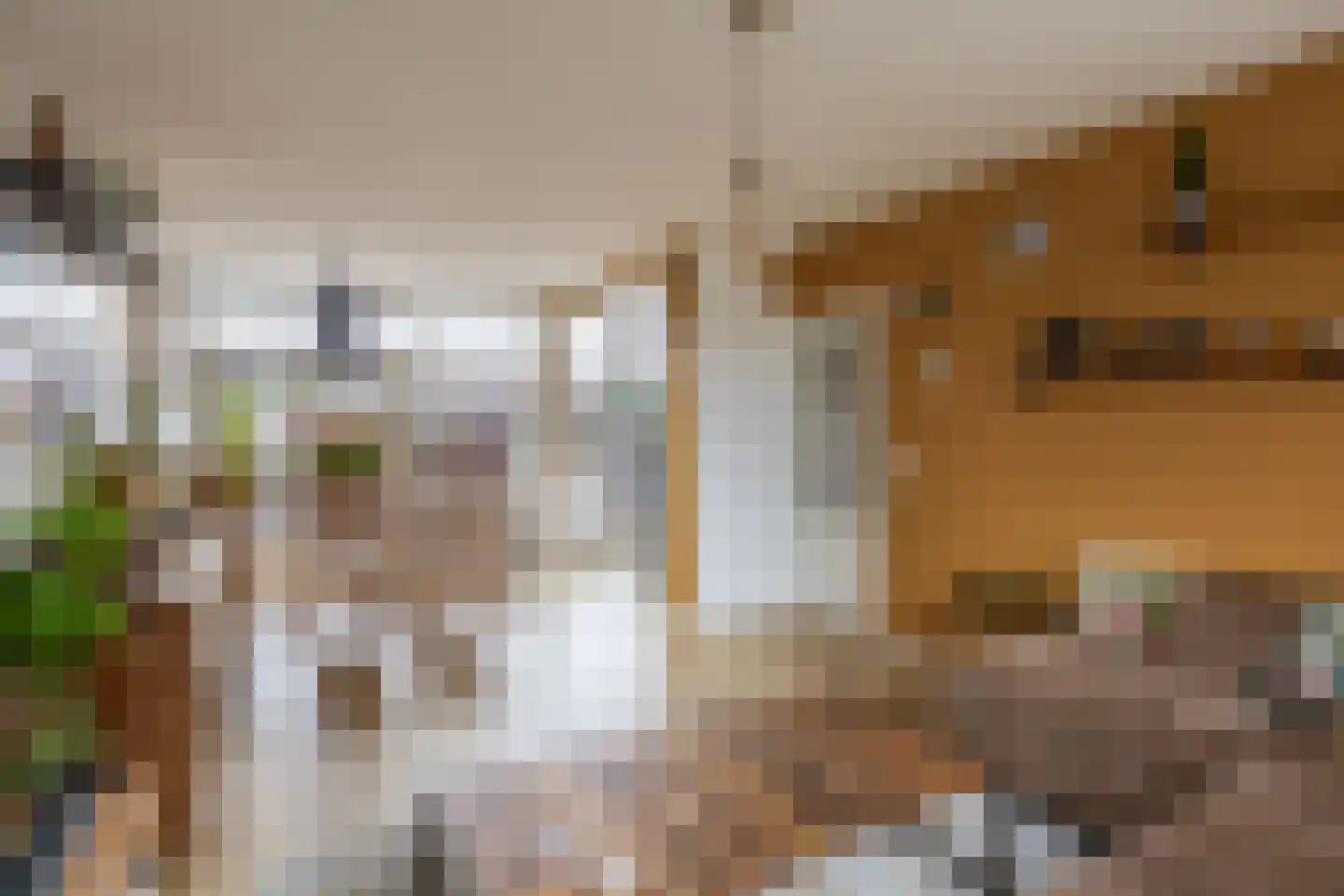 Paulus Potterstraat 16 Spijkenisse thumbnail 13