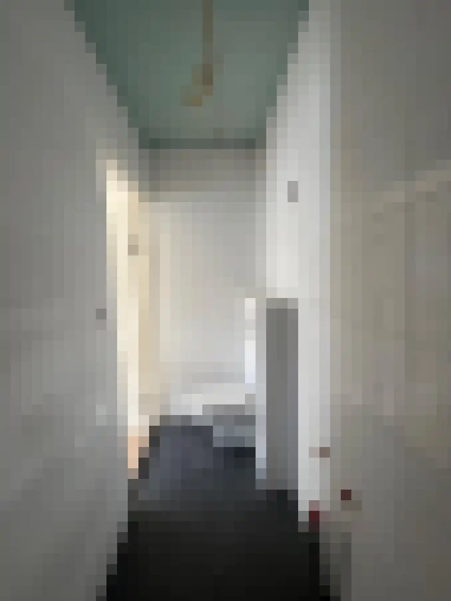 Paulus Potterstraat 167 A Den Haag thumbnail 11