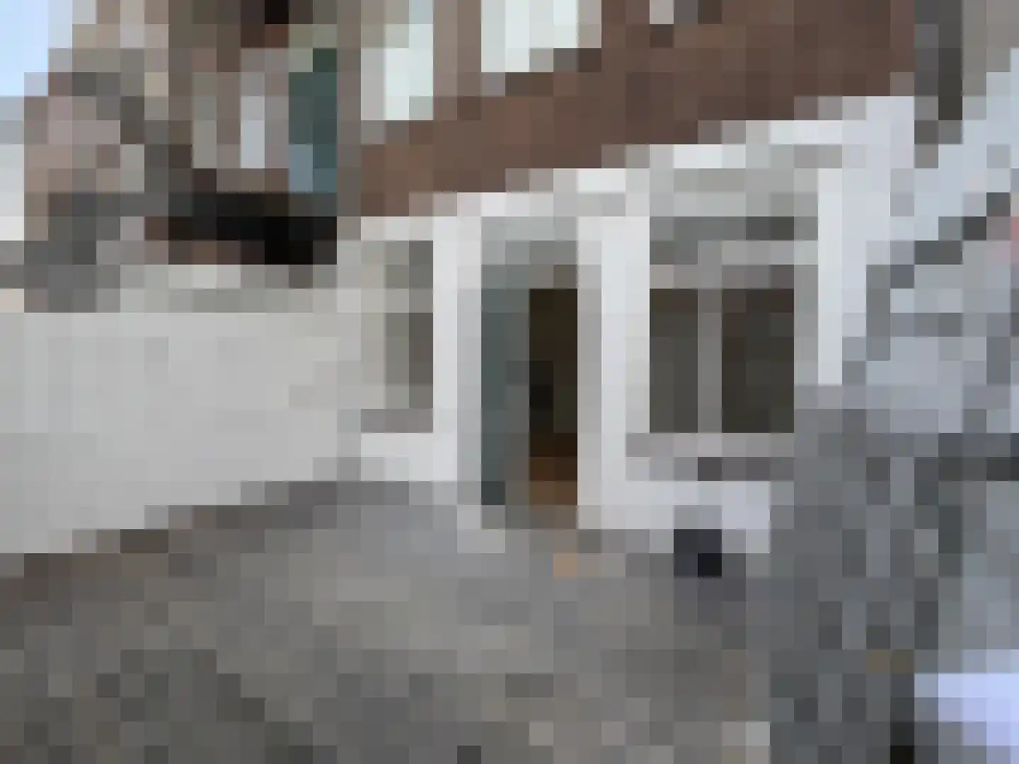 Paulus Potterstraat 167 D Den Haag thumbnail 10