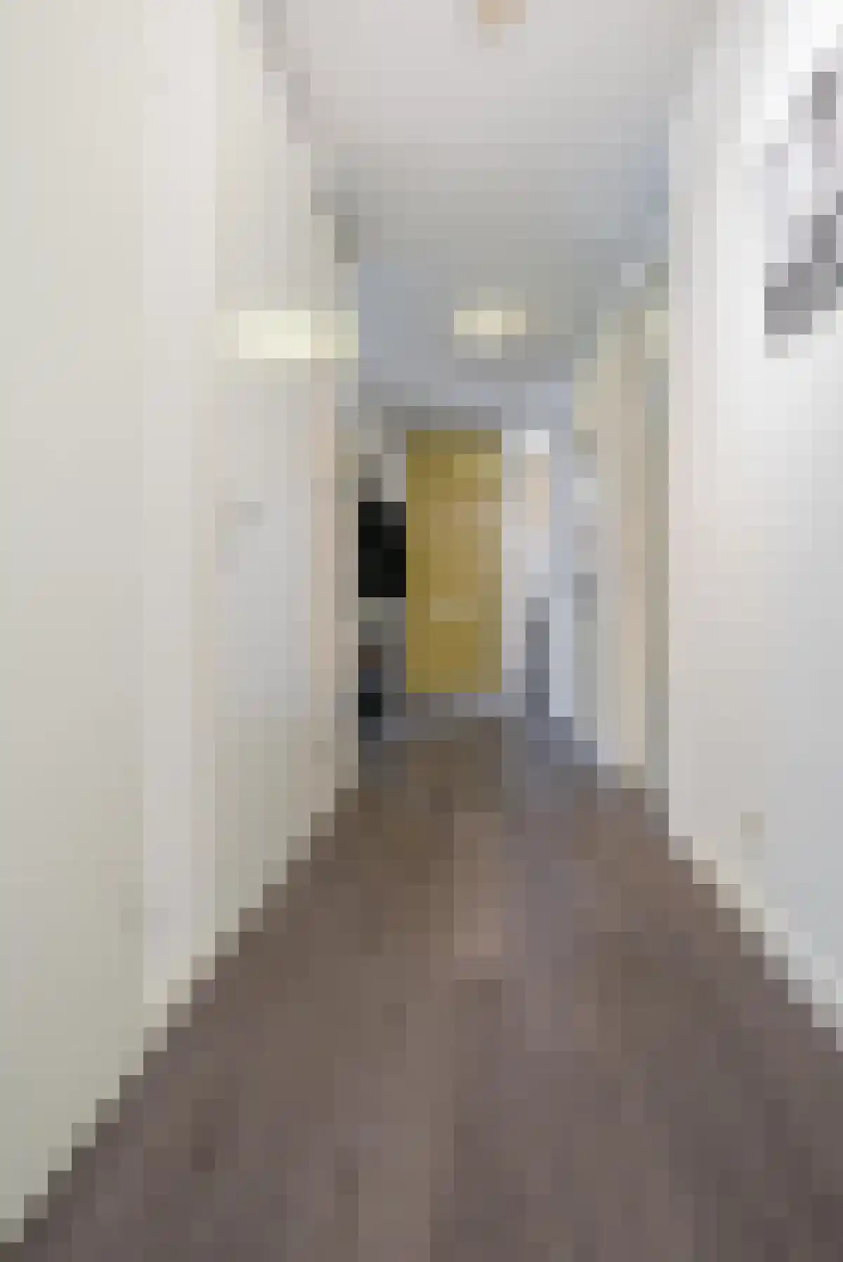 Paulus Potterstraat 18 Eindhoven thumbnail 5