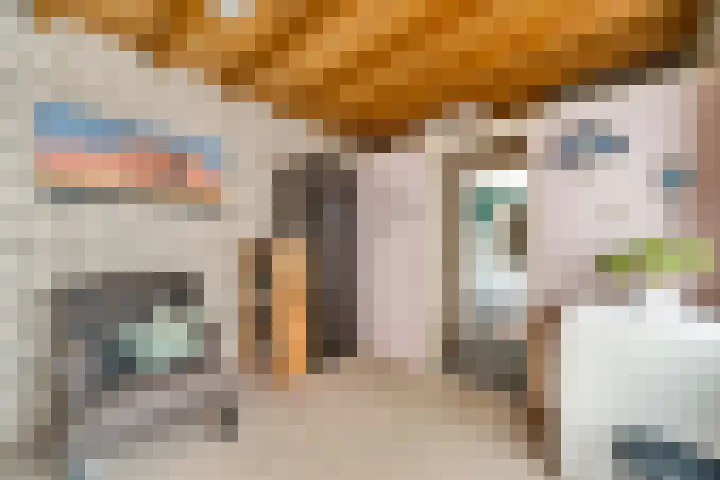 Paulus Potterstraat 18 Nijverdal thumbnail 12