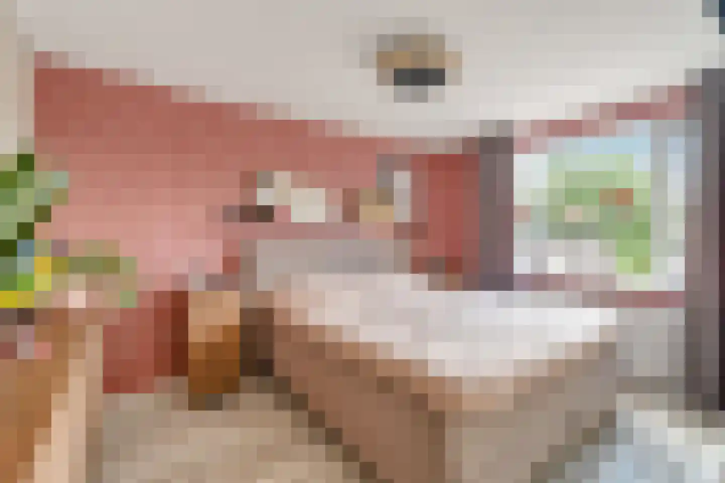 Paulus Potterstraat 18 Nijverdal thumbnail 15