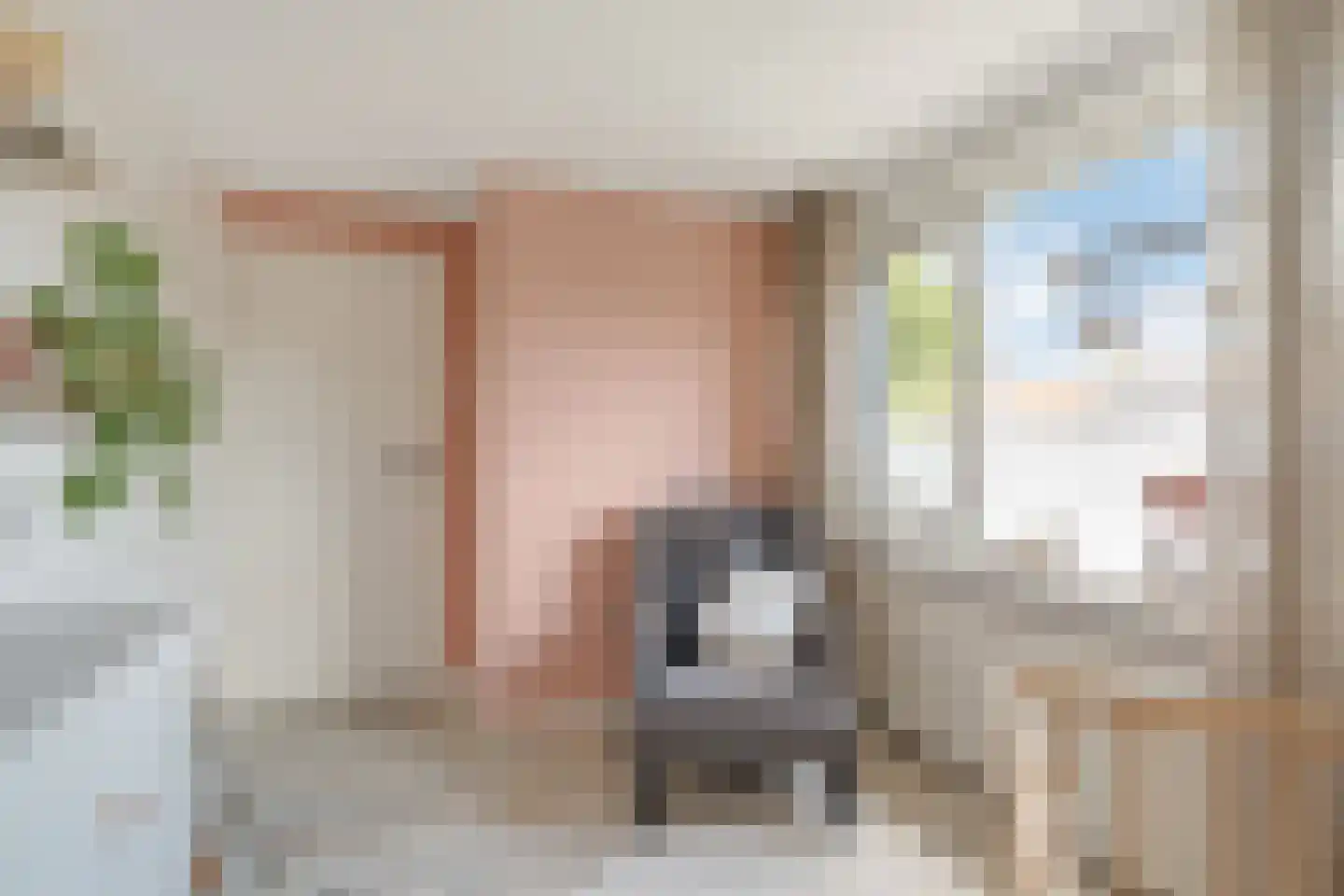 Paulus Potterstraat 18 Nijverdal thumbnail 21