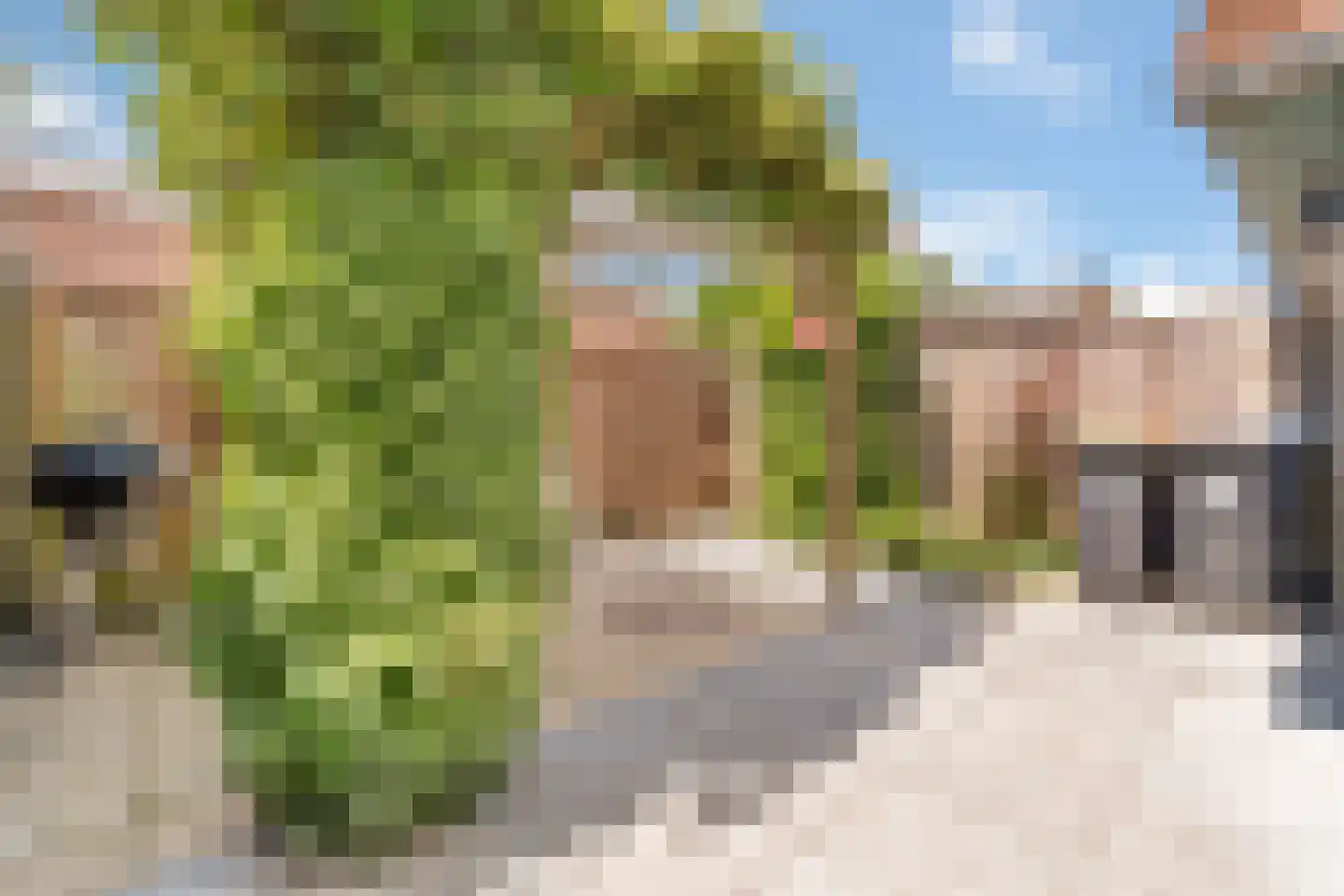 Paulus Potterstraat 18 Nijverdal thumbnail 31