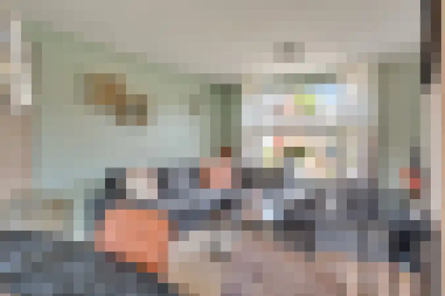 Paulus Potterstraat 18 Nijverdal thumbnail 5
