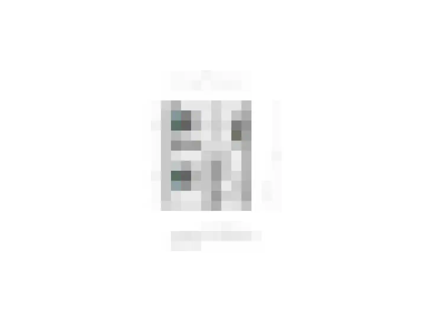 Paulus Potterstraat 19 Hardenberg thumbnail 33