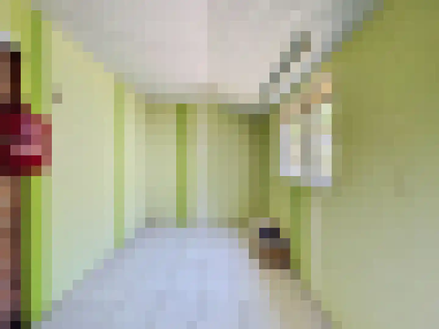 Paulus Potterstraat 19 Oostburg thumbnail 10