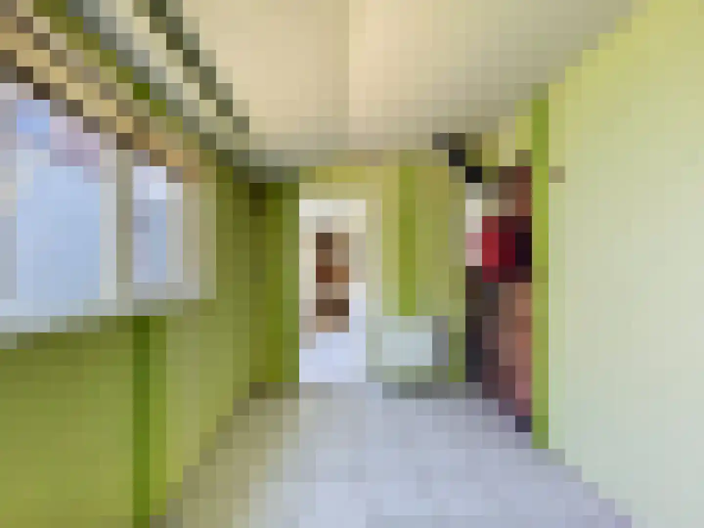 Paulus Potterstraat 19 Oostburg thumbnail 11