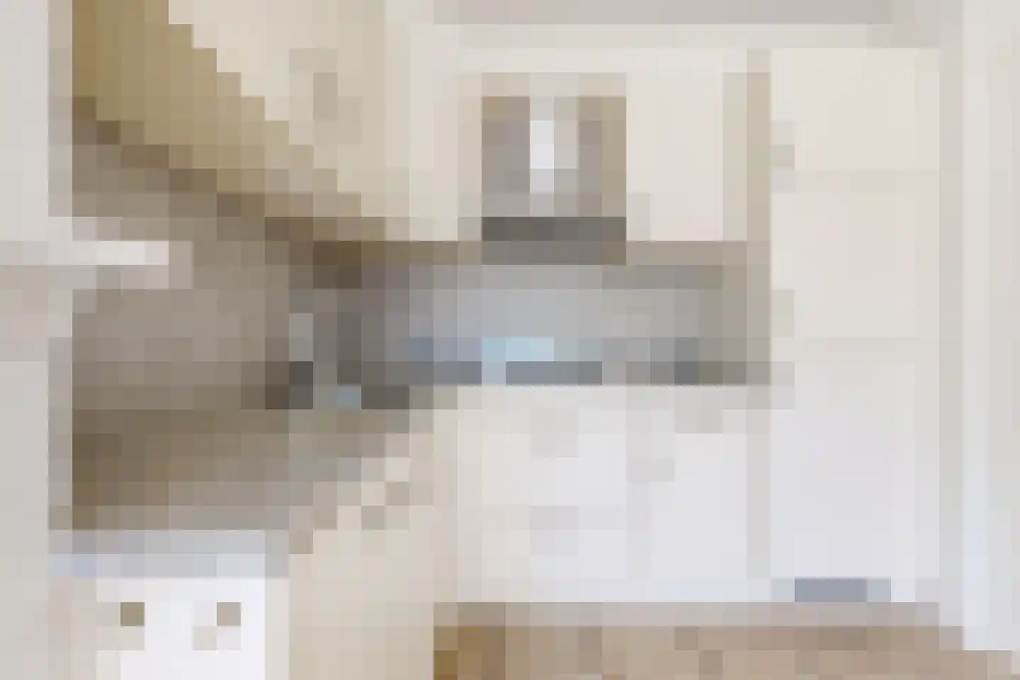 Paulus Potterstraat 2 Fijnaart thumbnail 28