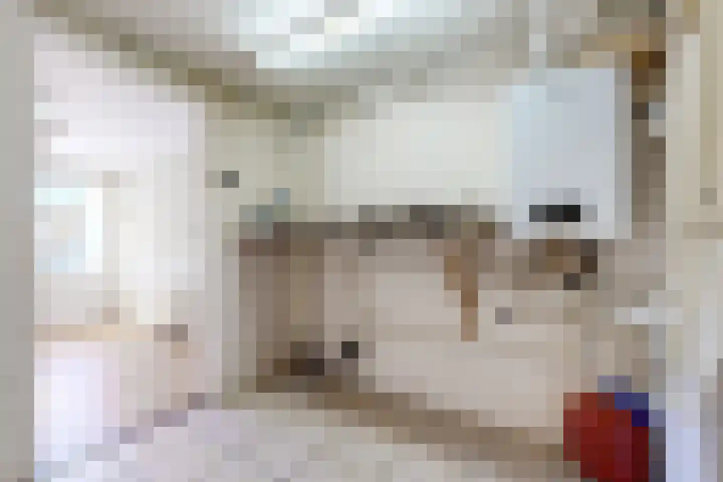 Paulus Potterstraat 2 Fijnaart thumbnail 35