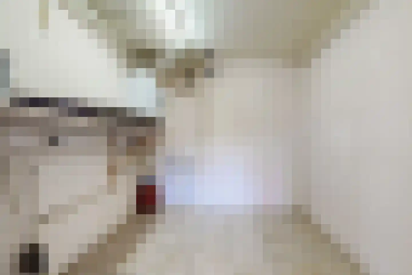 Paulus Potterstraat 2 Fijnaart thumbnail 36
