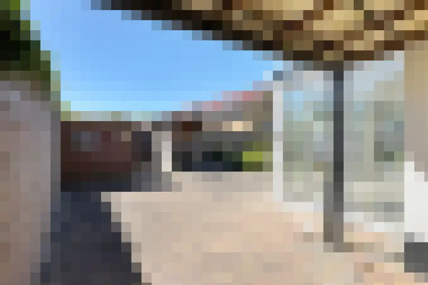 Paulus Potterstraat 2 Fijnaart thumbnail 41