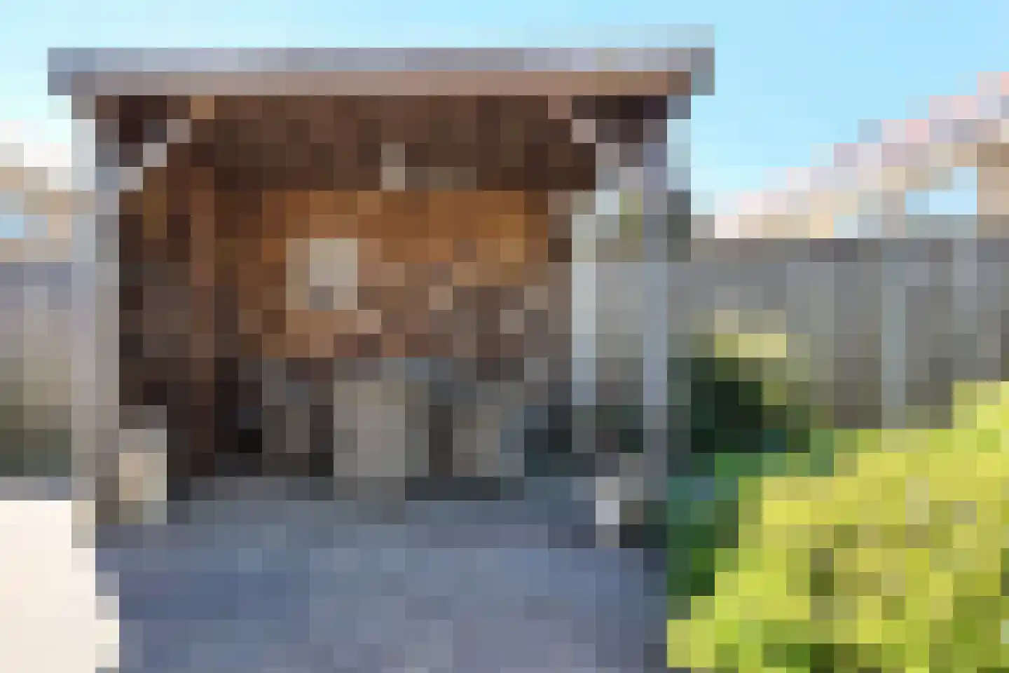 Paulus Potterstraat 2 Fijnaart thumbnail 45