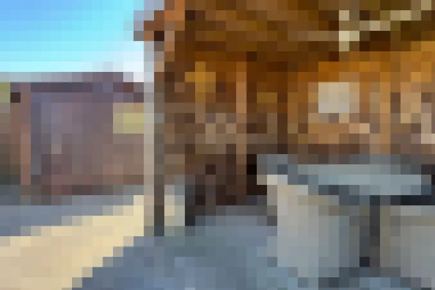 Paulus Potterstraat 2 Fijnaart thumbnail 46