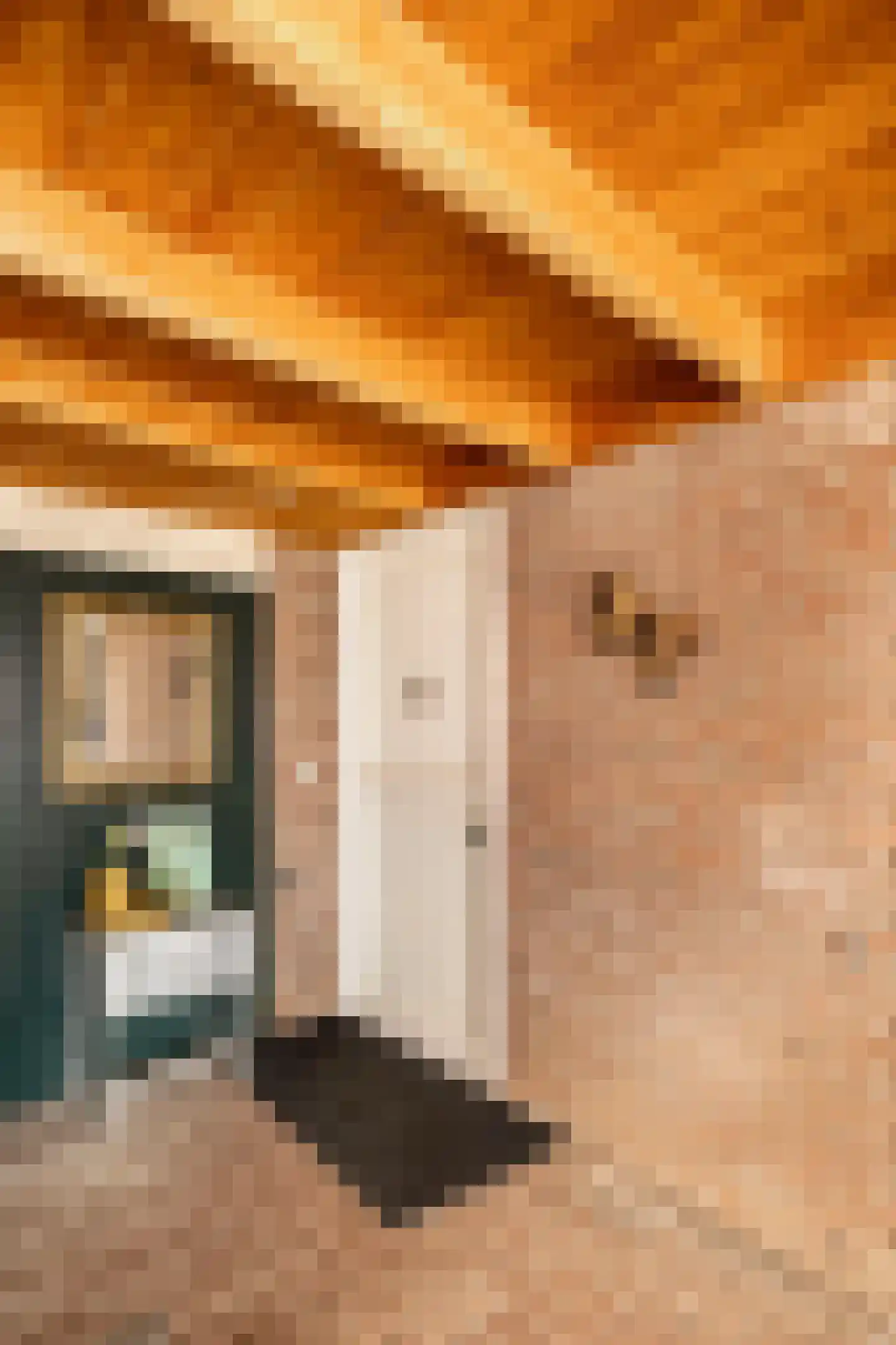 Paulus Potterstraat 21 Ede thumbnail 6