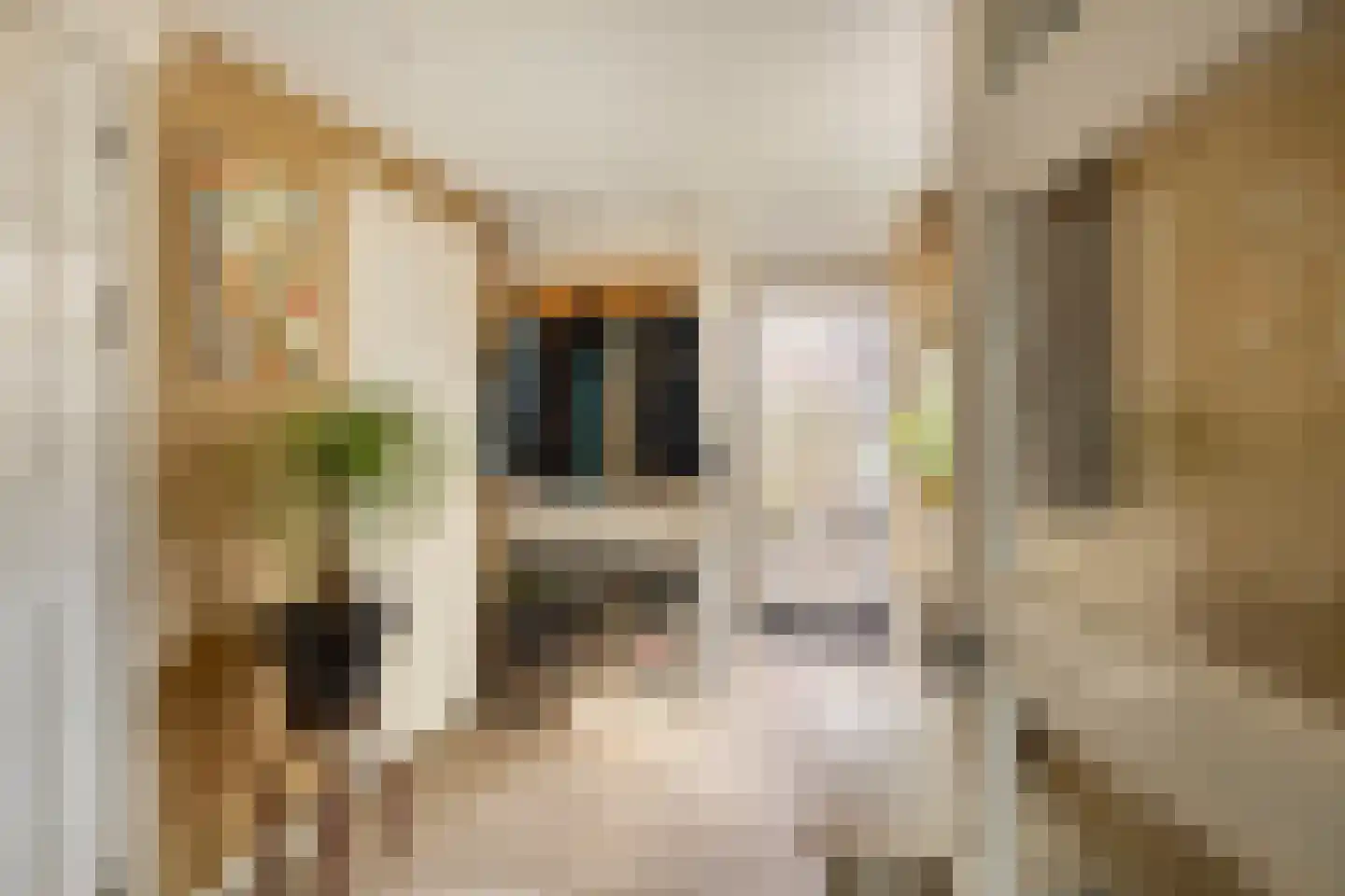 Paulus Potterstraat 21 Ede thumbnail 7